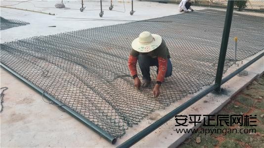 籃球場體育圍網廠家