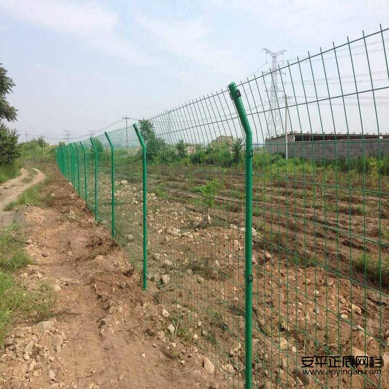 養羊圍欄網孔多大