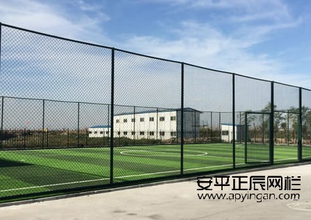球場專用圍欄網廠家