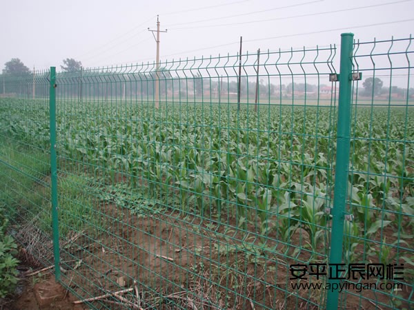 農田護欄網多少錢一米