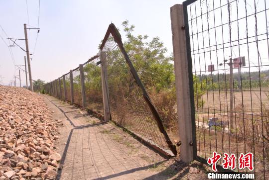 鐵路護(hù)欄網(wǎng)