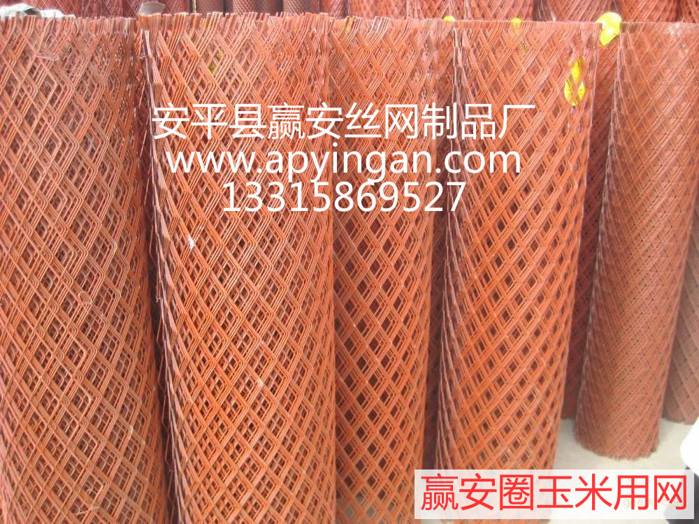 安平玉米網