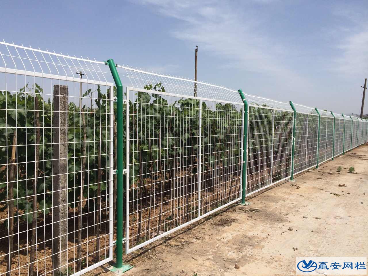 護欄網規格型號