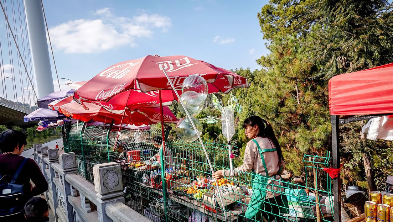 景點(diǎn)隔離網(wǎng)