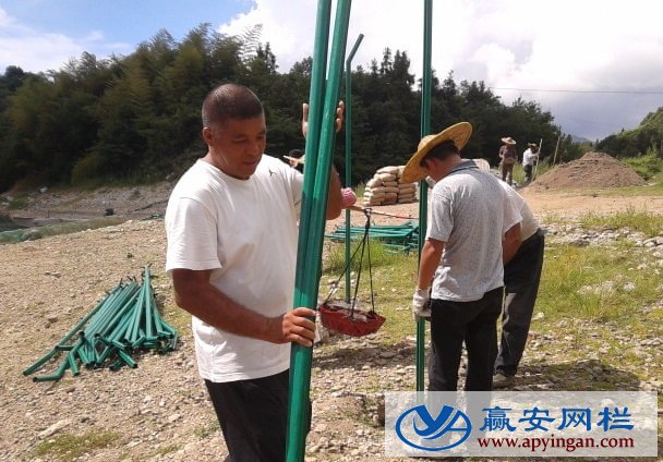 太陽能電站圍欄網