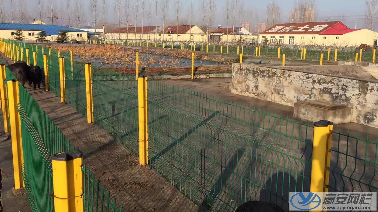 養豬場圍欄網