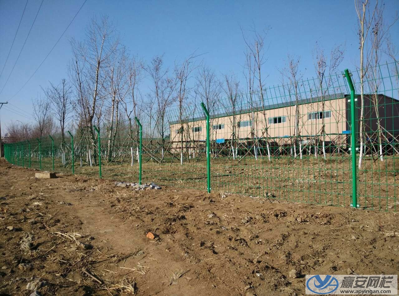 圈地護(hù)欄網(wǎng)