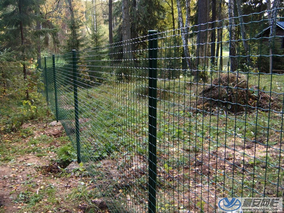 荷蘭網式鐵絲網圍欄 鐵絲網圍欄