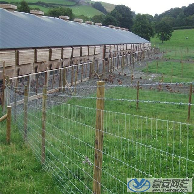 草原牛欄網 草原牛欄網