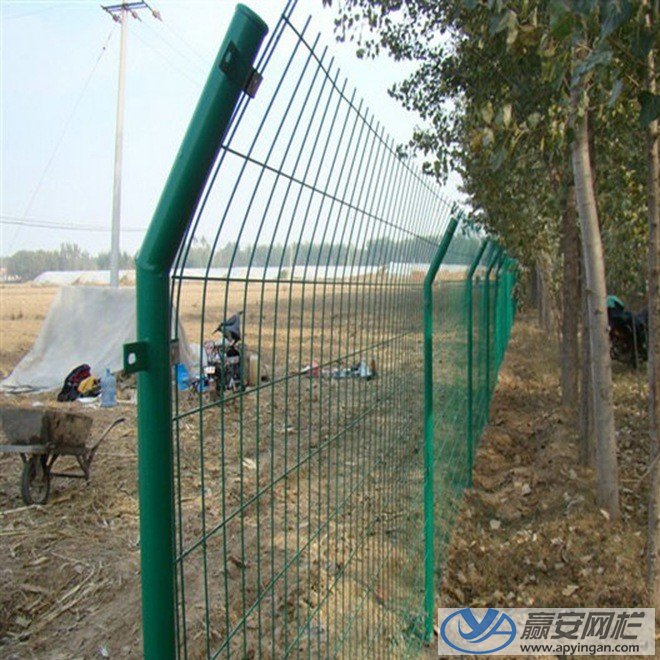 雙邊絲護欄網式鐵網圍欄 鐵網圍欄