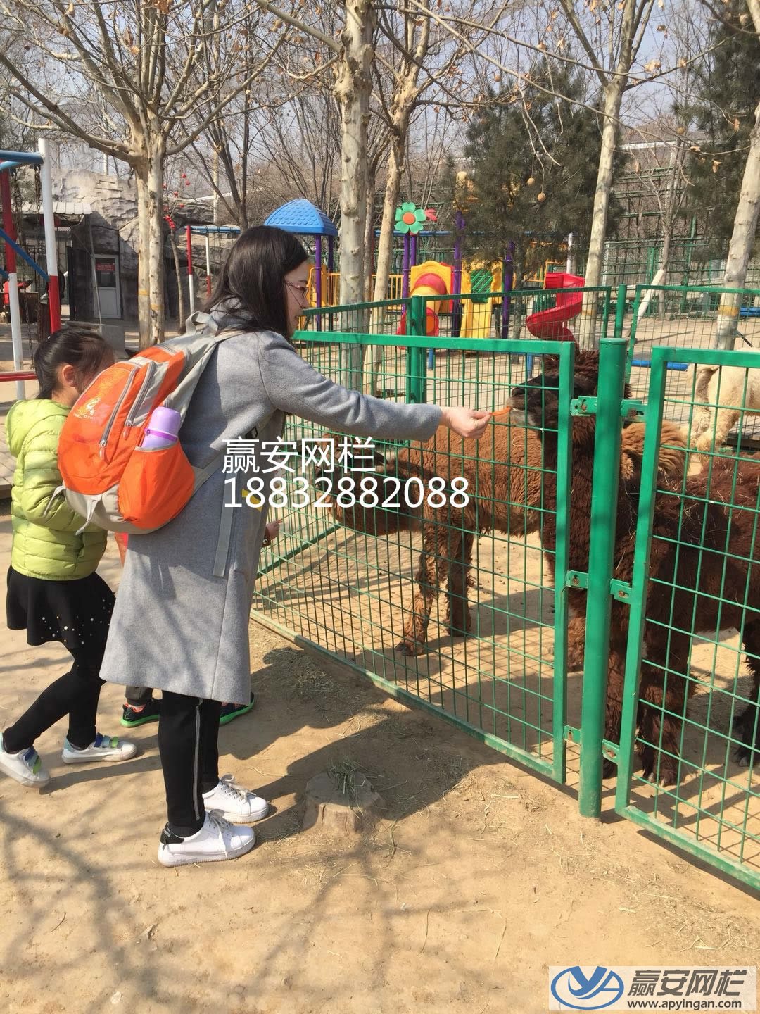 框架護(hù)欄網(wǎng)