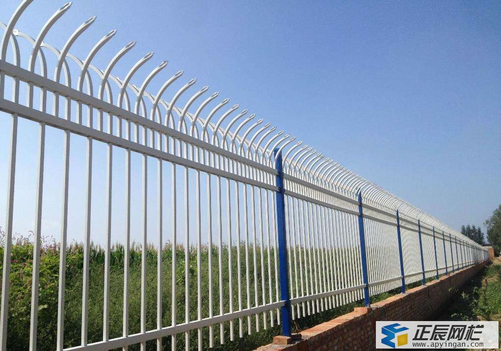 鋅鋼圍墻護欄 圍墻護欄