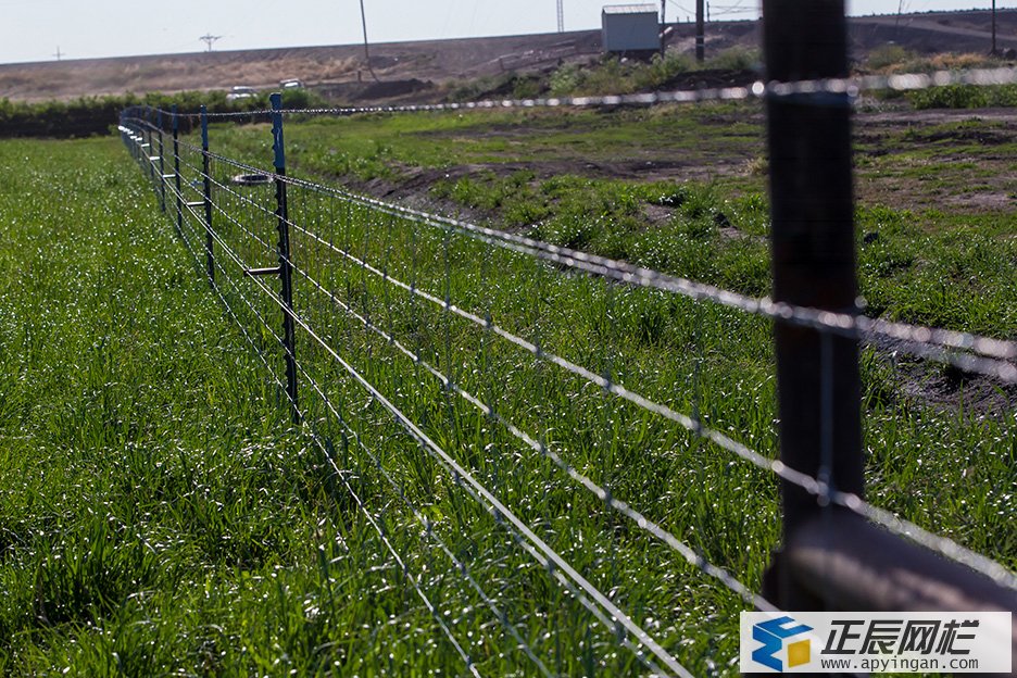 養殖場圍欄網
