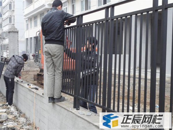 小區(qū)鋅鋼護(hù)欄