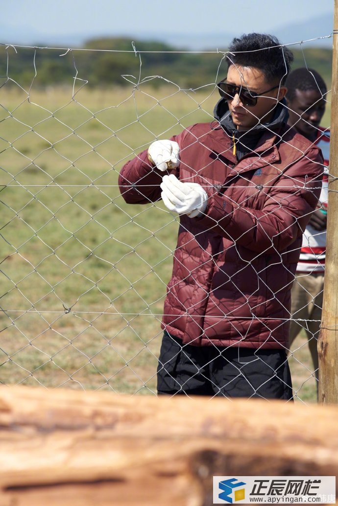 勾花網(wǎng)圍欄