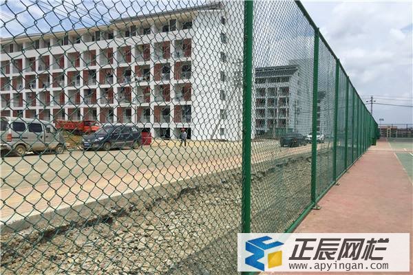 護(hù)欄網(wǎng)