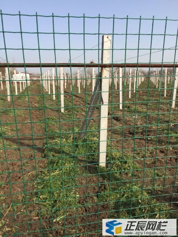 養殖場圍欄網
