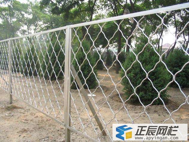 護欄網(wǎng)
