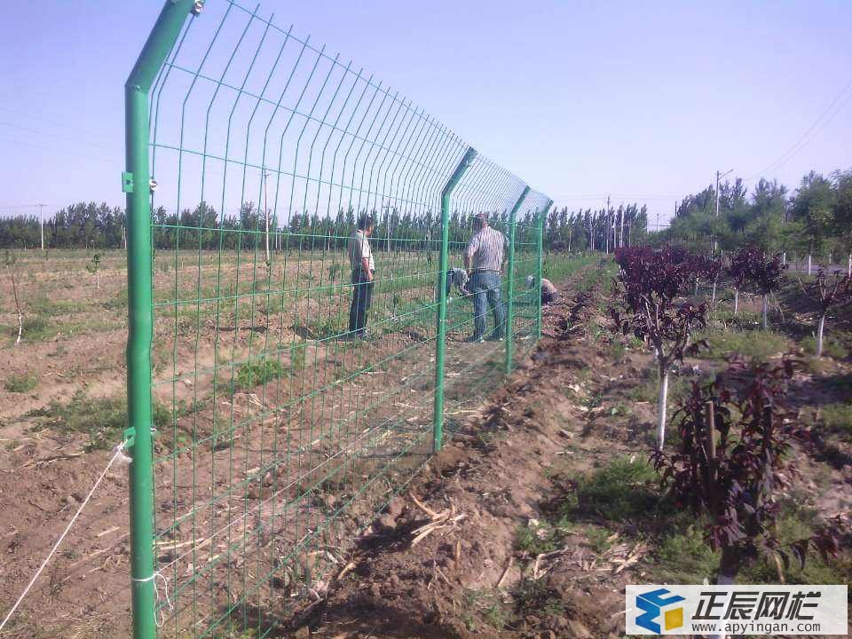 養(yǎng)殖鐵絲網(wǎng)圍欄