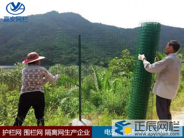 養(yǎng)雞圍欄網