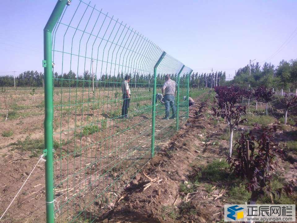 果園護(hù)欄網(wǎng)