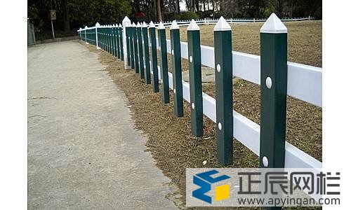 天津鋅鋼草坪護欄