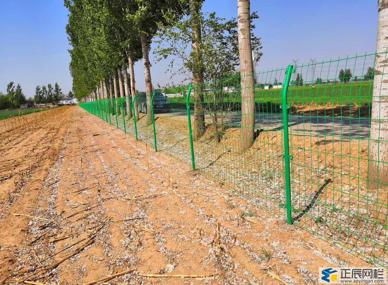 雙邊絲護欄網(wǎng)多少錢