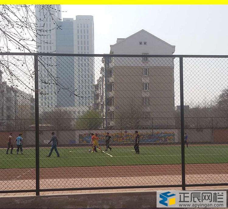 勾花護欄網在校園