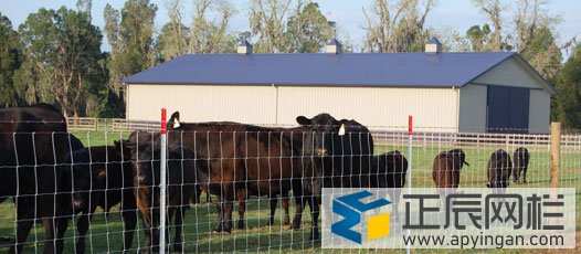 養殖護欄網哪家好