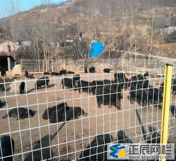 養(yǎng)殖鐵絲網(wǎng)