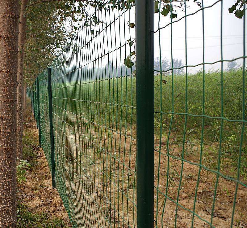 果園護(hù)欄網(wǎng)
