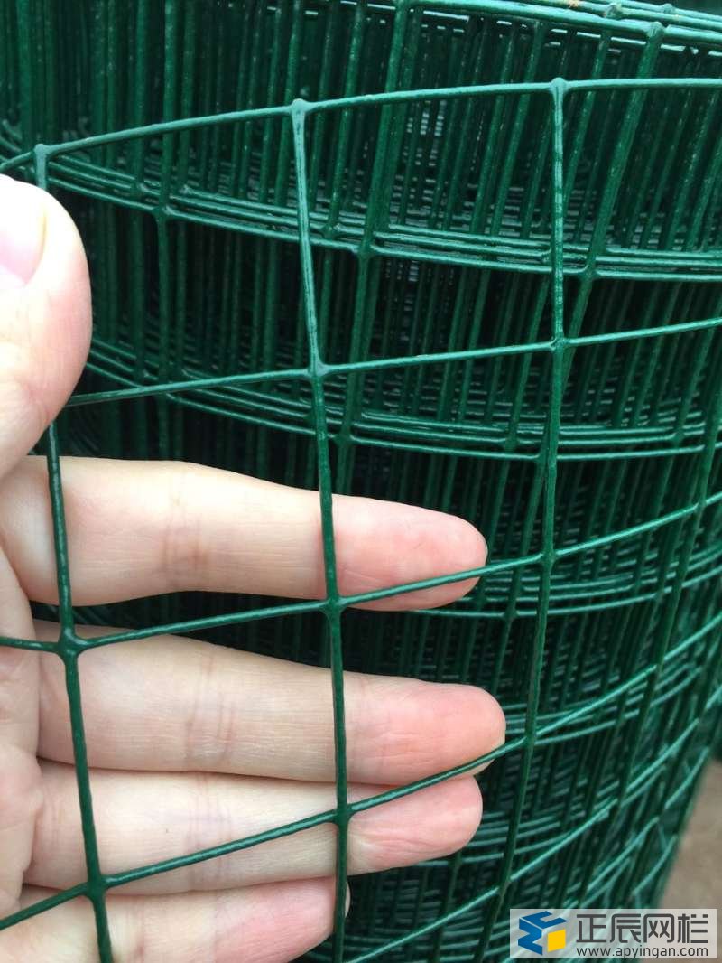養(yǎng)殖護(hù)欄網(wǎng)