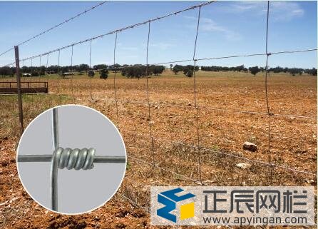 鐵絲網圍欄防護欄圖34