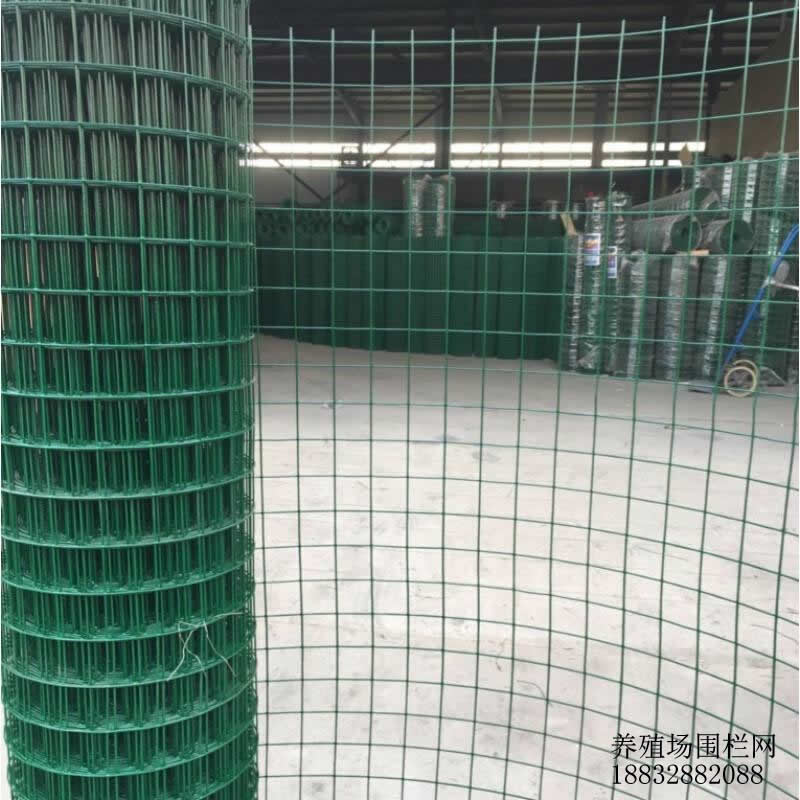 養雞網圍欄圖片