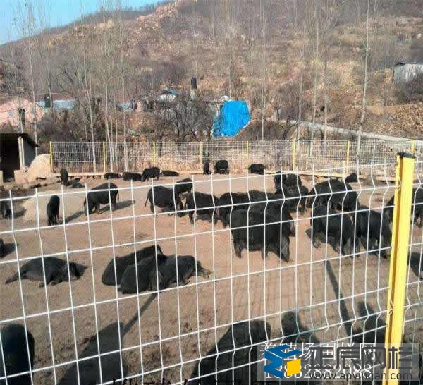 養(yǎng)殖圍欄網(wǎng)價錢