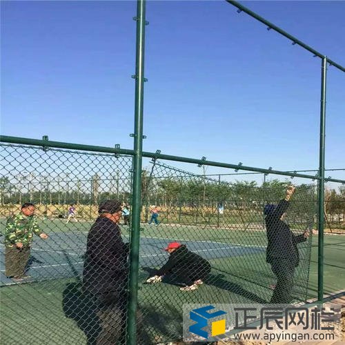 球場圍網