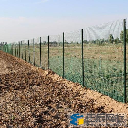 果園鋼絲網(wǎng)